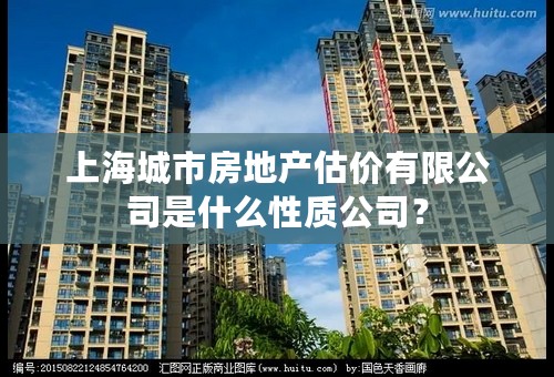 上海城市房地产估价有限公司是什么性质公司？