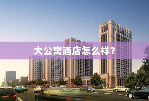 大公寓酒店怎么样？