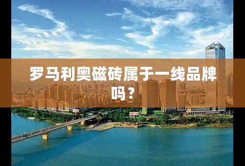 罗马利奥磁砖属于一线品牌吗？
