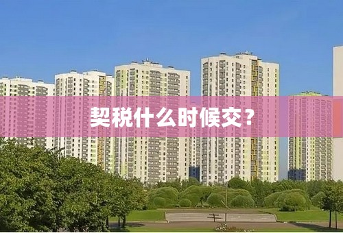 契税什么时候交？
