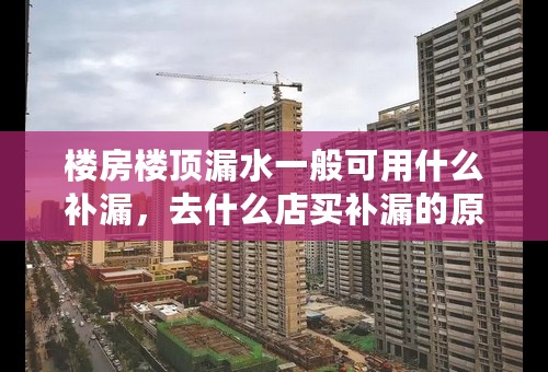 楼房楼顶漏水一般可用什么补漏，去什么店买补漏的原料