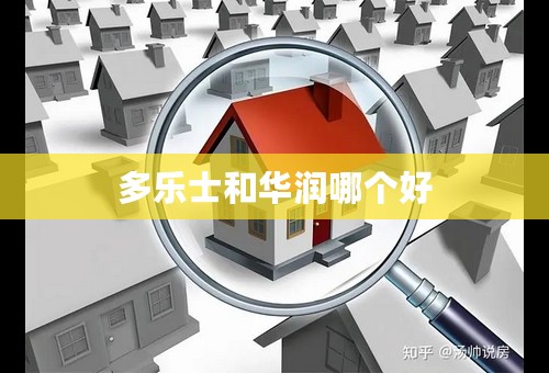 多乐士和华润哪个好