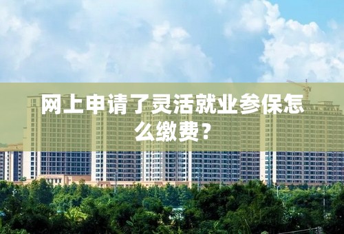 网上申请了灵活就业参保怎么缴费？