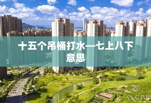 十五个吊桶打水—七上八下意思