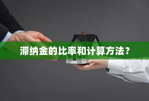 滞纳金的比率和计算方法？