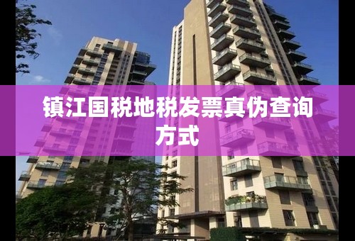 镇江国税地税发票真伪查询方式