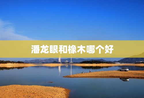 潘龙眼和橡木哪个好
