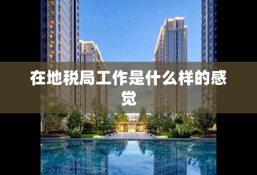 在地税局工作是什么样的感觉