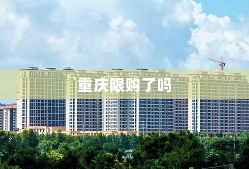 重庆限购了吗