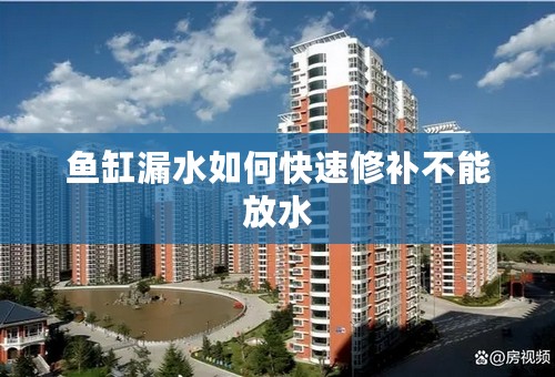 鱼缸漏水如何快速修补不能放水