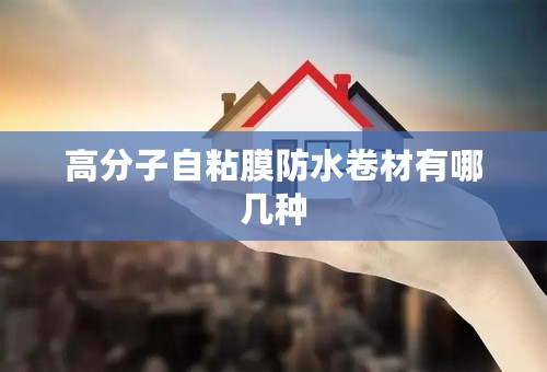 高分子自粘膜防水卷材有哪几种