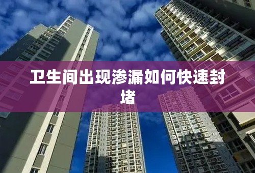 卫生间出现渗漏如何快速封堵