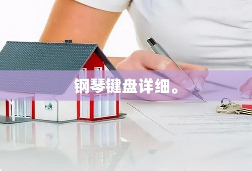 钢琴键盘详细。