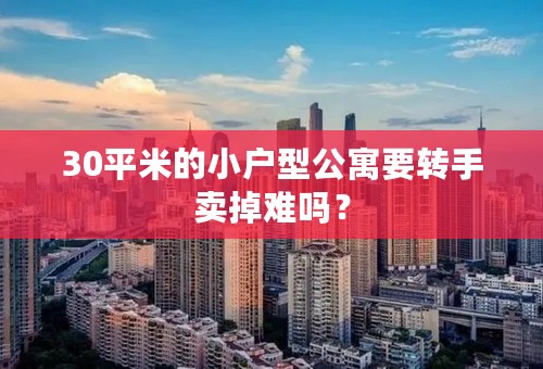 30平米的小户型公寓要转手卖掉难吗？