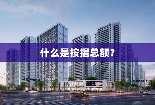 什么是按揭总额？