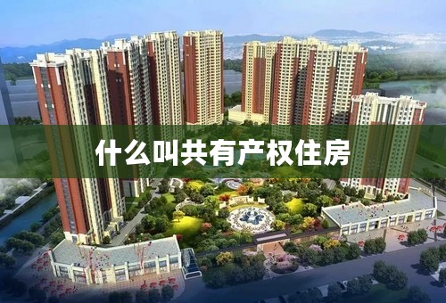 什么叫共有产权住房
