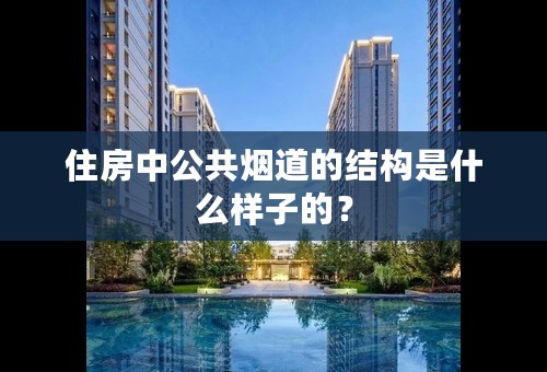 住房中公共烟道的结构是什么样子的？