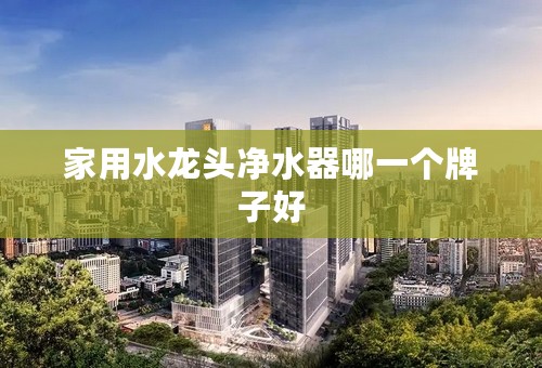 家用水龙头净水器哪一个牌子好