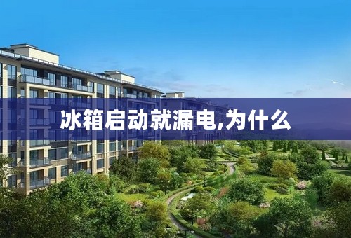 冰箱启动就漏电,为什么