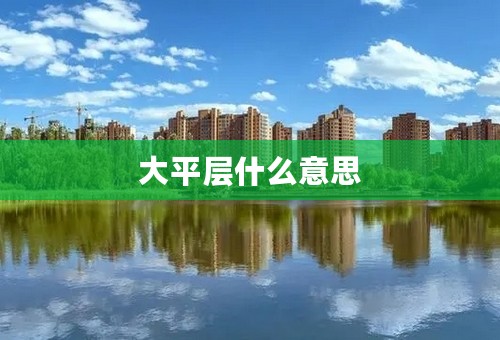 大平层什么意思