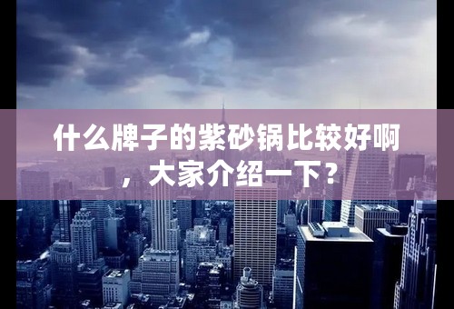 什么牌子的紫砂锅比较好啊，大家介绍一下？
