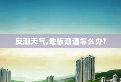 反潮天气,地板潮湿怎么办?