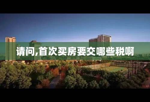 请问,首次买房要交哪些税啊