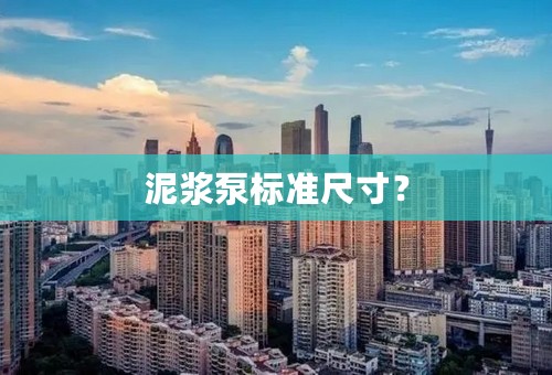 泥浆泵标准尺寸？