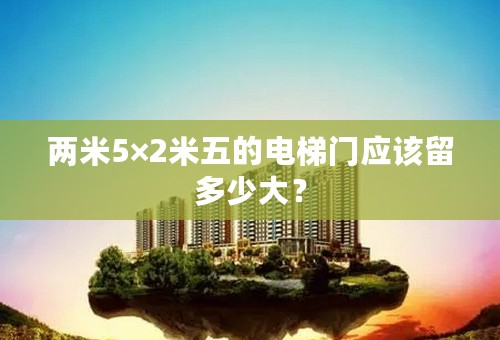 两米5×2米五的电梯门应该留多少大？