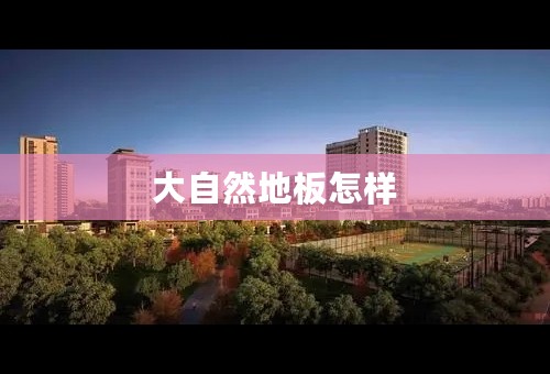 大自然地板怎样