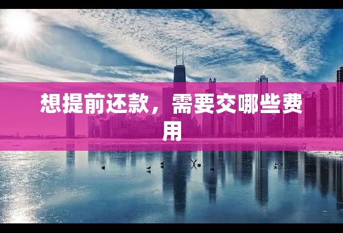 想提前还款，需要交哪些费用