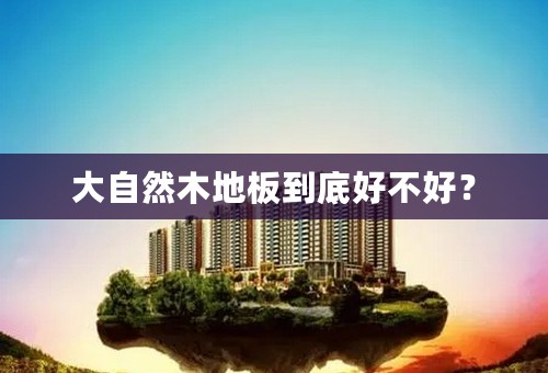大自然木地板到底好不好？