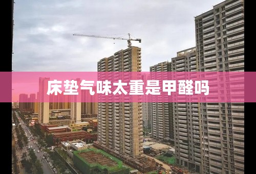 床垫气味太重是甲醛吗