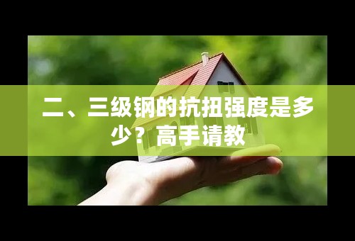 二、三级钢的抗扭强度是多少？高手请教