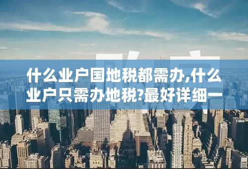 什么业户国地税都需办,什么业户只需办地税?最好详细一点,谢谢~~