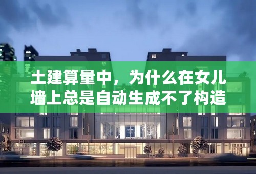 土建算量中，为什么在女儿墙上总是自动生成不了构造柱