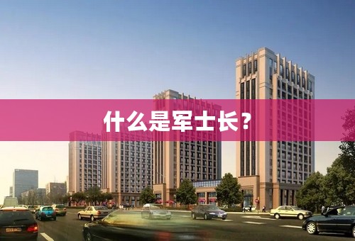 什么是军士长？
