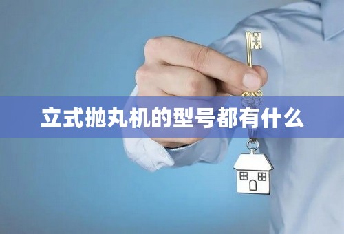 立式抛丸机的型号都有什么