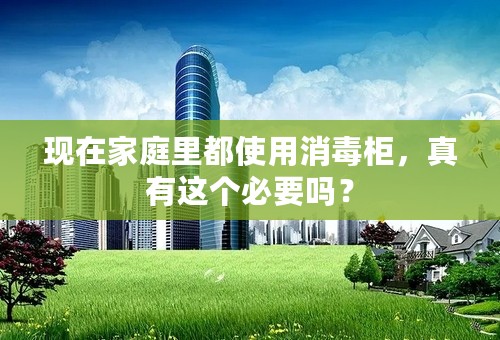 现在家庭里都使用消毒柜，真有这个必要吗？