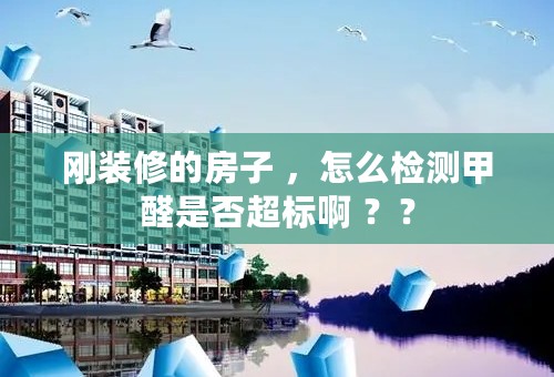 刚装修的房子 ，怎么检测甲醛是否超标啊 ？？