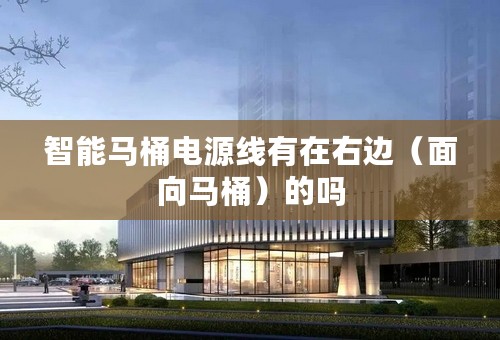 智能马桶电源线有在右边（面向马桶）的吗