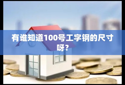 有谁知道100号工字钢的尺寸呀？