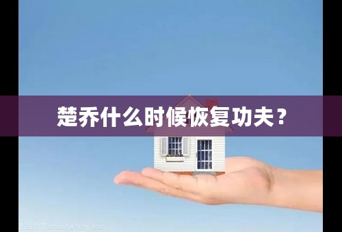 楚乔什么时候恢复功夫？