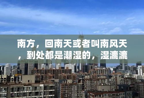 南方，回南天或者叫南风天，到处都是潮湿的，湿漉漉很难受，有什么办法能让家里不那么湿。除湿机好用吗？