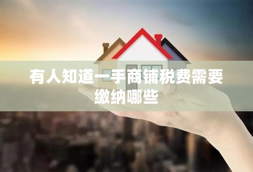 有人知道一手商铺税费需要缴纳哪些