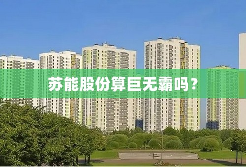 苏能股份算巨无霸吗？