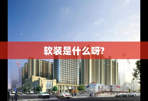 软装是什么呀?