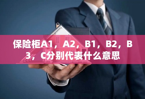 保险柜A1，A2，B1，B2，B3，C分别代表什么意思