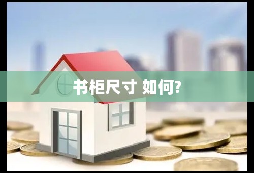 书柜尺寸 如何?