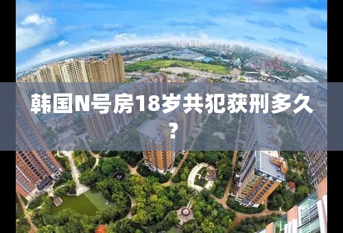 韩国N号房18岁共犯获刑多久？